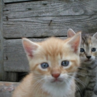 ddcfd249e5190ce5f678e79b9fc79a40_900