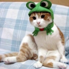 e24bc8d0b66b6600702e6cffdd0988aa_900