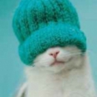 b6f69feec3ee17197b975b7f74398a4e_142