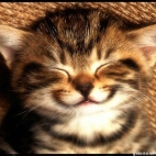 1a177c55cafc0a27e4198cb5fa0adde7_900