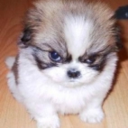 5d7c043db27d9617ce36c2da28572b7a_142