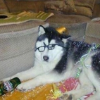 a8e0d545e125d49ccfd74ef97c7d97d9_900