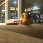 inbound2617919389628989850