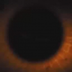 Skyfall.2012.DVDRip+AC3 Lektor PL (kzm0013)