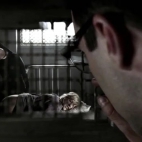 American Horror Story, session 2. Asylum, episode 2. Tricks and Treats - USA 2012, trailer.mp4_2020