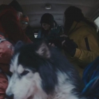 wdowa The.Widow.2020.PL.720p.BluRay.x264.DD2.0-K83.mp4 userload