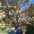 IMG_20221010_125053