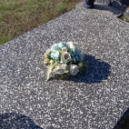 IMG_20221010_122348_1