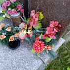IMG_20221010_120642
