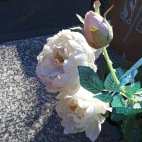 IMG_20221010_120247