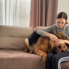 German Shepherd Protects Woman