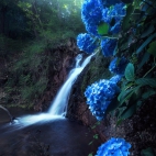 100 Amazing Mixed Wallpapers {Pack -317} (31)