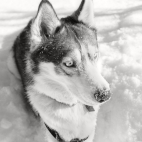 100 Amazing Mixed Wallpapers {Pack -317} (20)