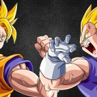 Anime Dragon Ball Z Wallpapers Collection Pack-1 (14)