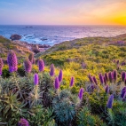 100 Amazing Mixed Wallpapers {Pack -321} (50)