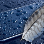 100 Beautiful Ultra HD 4K Wallpapers Pack-15 (57)