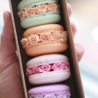 Macarons on POPSUGAR Food