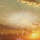 ♫♥♫ Birds Of Paradise - Peter, Sue & Marc ♫♥♫