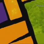 znamię n t