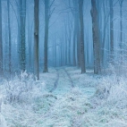 CranborneChase_1920x1080