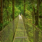 Monteverde_1920x1080