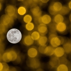 MoonBeforeYule_1920x1080