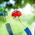 Furin2022