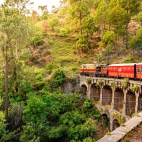 ToyTrainShimla
