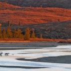 SusitnaRiver