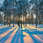 SiberianSunset_1920x1080