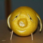 limon-pig