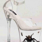 spider-shoe