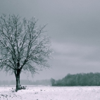 Ultra HD, 4K, Landscape, 62555578