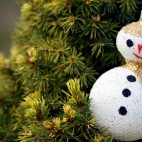 Beautiful & Amazing Christmas Wallpapers Pack-1 (10)