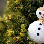 Beautiful & Amazing Christmas Wallpapers Pack-1 (10)