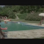 1981 2
