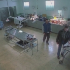 Replikant (Replicant2001)  zakon