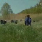 G_sia Sk_rka Odcinek 9 (ziomek72) - Video n