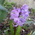 1404201326551