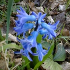 1404201326555