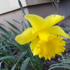 1404201326556