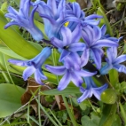 1404201326558
