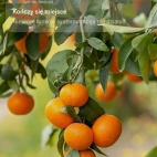 Screenshot_2023-02-07-12-21-29-361_lockscreen