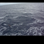 Screenshot_2023-02-16-19-40-18-942_com.google.earth
