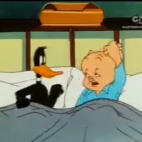 Tu Nocowal Kaczor Daffy