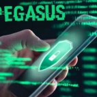 pegasus