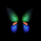 butterfly-samsung-galaxy-fold-black-background-stock-4600x2560-1401