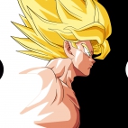Anime Dragon Ball Z Wallpapers Collection Pack-1 (24)