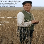 tło