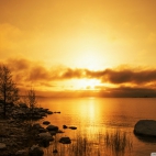 golden_morning-wallpaper-1920x1200